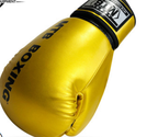 Muay Thai & Sanda Training Gloves