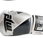 Muay Thai & Sanda Training Gloves
