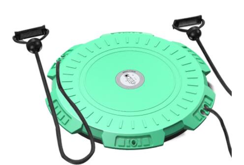 Twisting Waist Disc